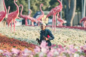 BIB: 
                            <button type="button" onclick="openModal(27344114)" class="btn btn-primary btn-sm float-right btn-popup" data-toggle="modal" data-target=".modal-high-quality">
                        <i class="fas fa-shopping-cart"></i> Add to Cart
                    </button>
                                            <button type="button" onclick="isThisMe(27344114, true)" class="btn btn-success btn-sm float-right btn-popup btn-isme hidden" data-toggle="tooltip" data-placement="bottom" title="นี่คือรูปของคุณใช่ไหม คลิกที่นี่เพื่อเอาเข้าอัลบั้ม">
                        <i class="fas fa-plus"></i> Add to album
                    </button>
                    <button type="button" onclick="isThisMe(27344114, false)" class="btn btn-warning btn-sm float-right btn-popup btn-isnotme hidden">
                        <i class="fas fa-ban"></i> Remove from album
                    </button>